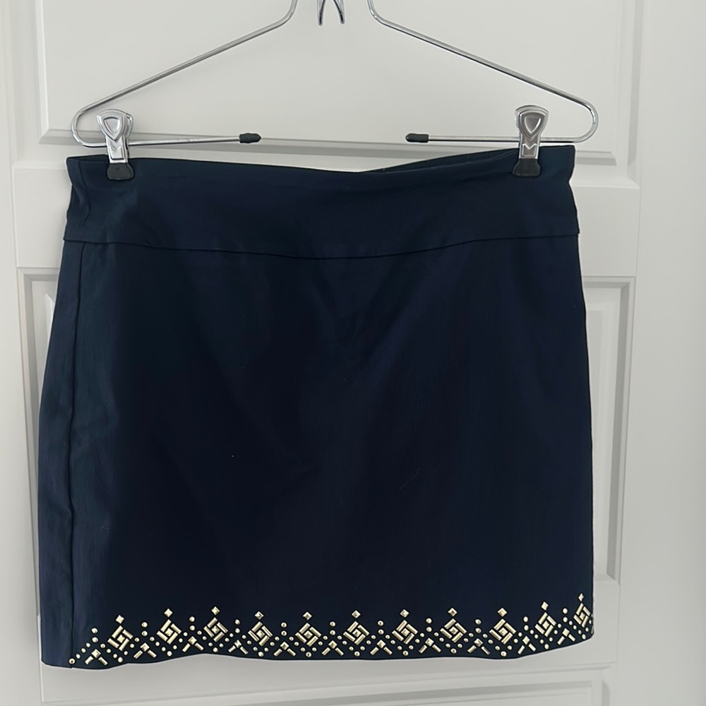 Elegant Fun Stretch Mini skirt